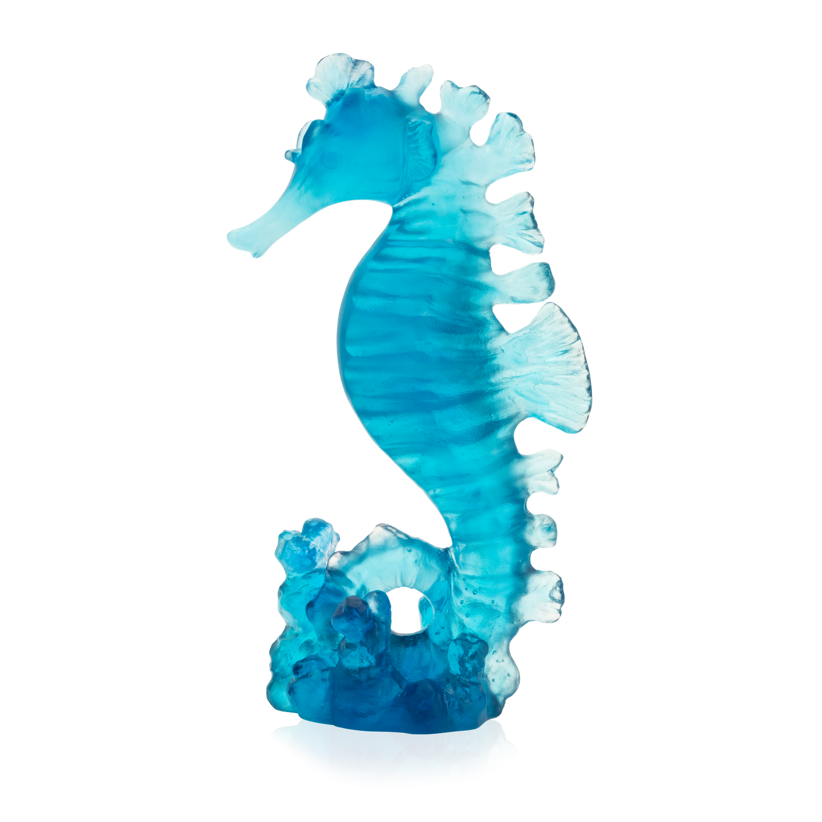 Hippocampe petit modele bleu