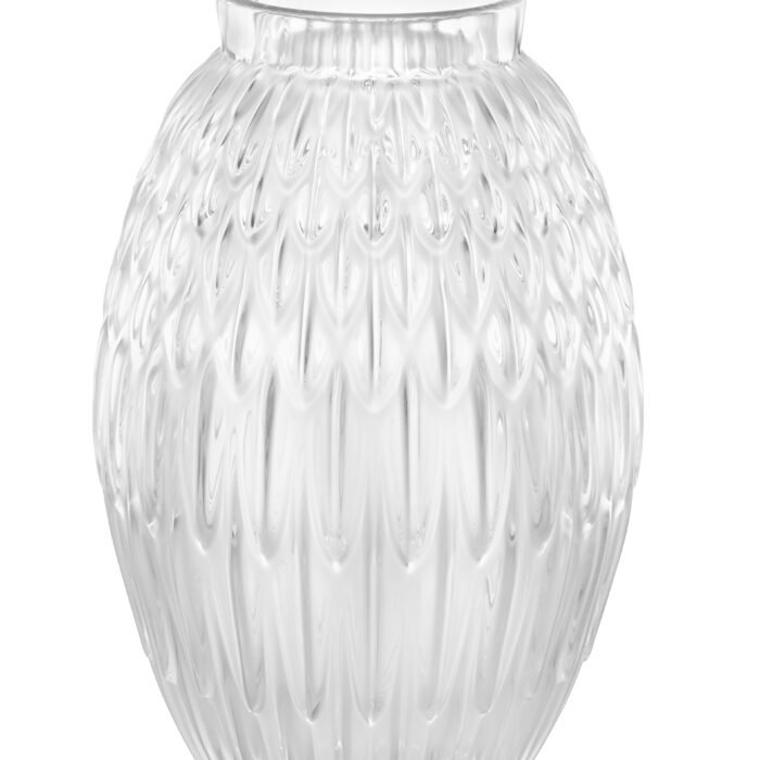 Vase Plumes incolore