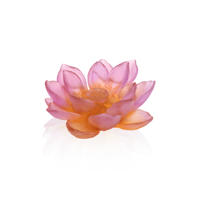 DECORATIVE FLOWER LOTUS GARDEN AMBERPINK