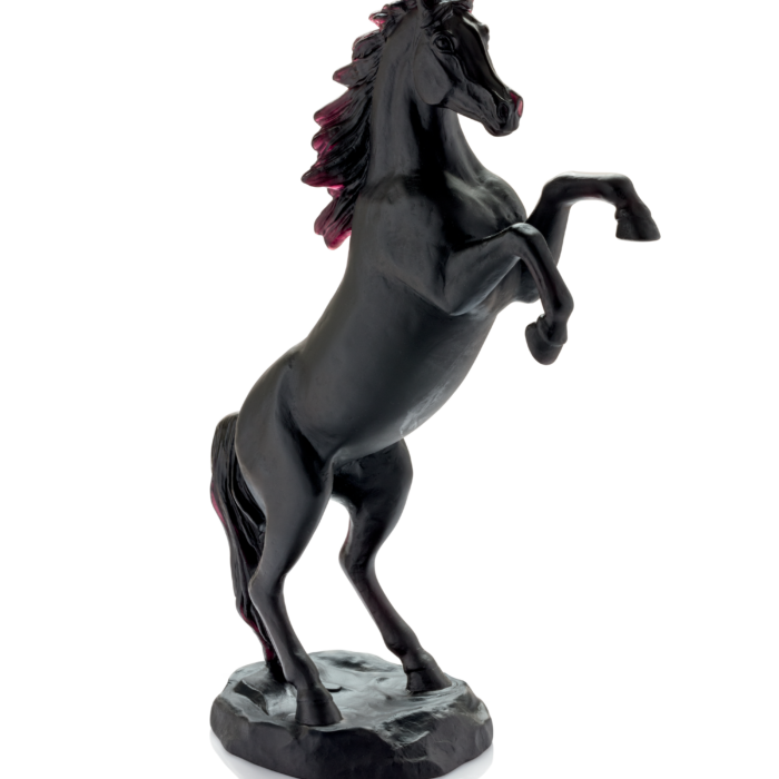 Black Spirited Horse