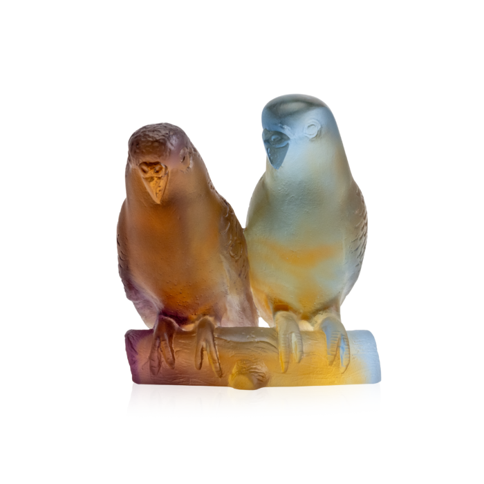 Amber Budgerigars Couple