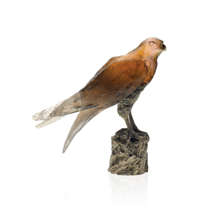 Saker Hawk - M. van der Knoop