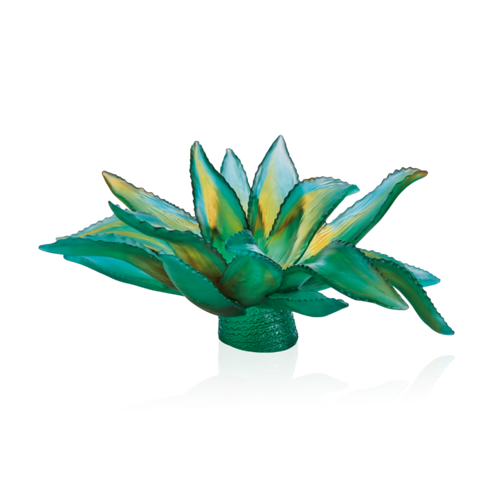 Green Agave Centrepiece