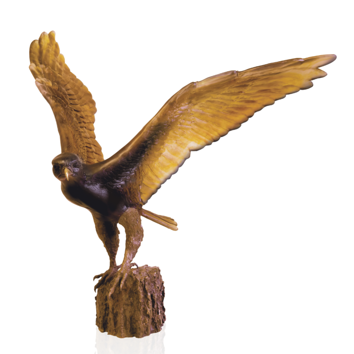 The Hawk Flight - M. van der Knoop