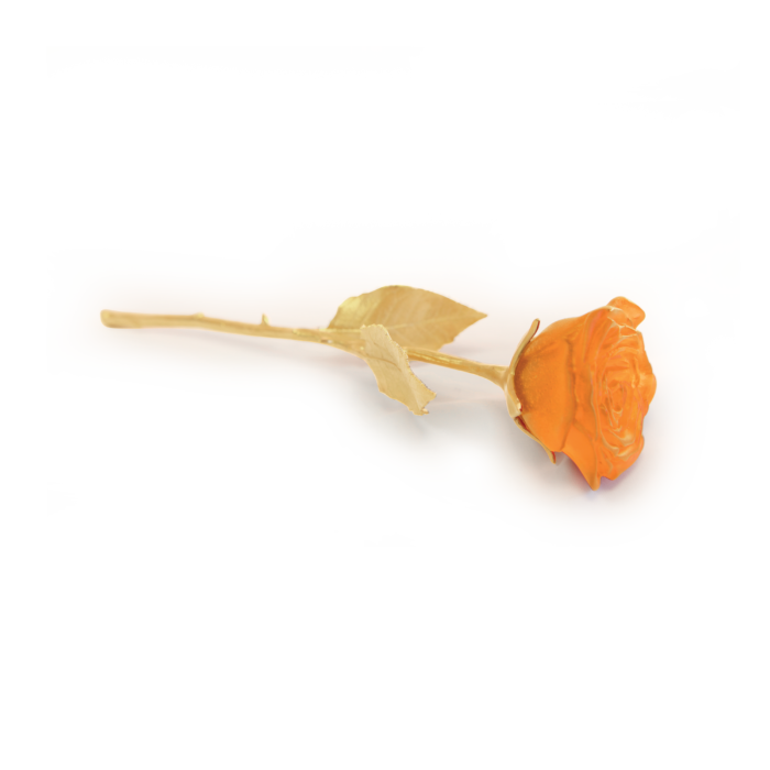Orange Pink Rose Eternelle